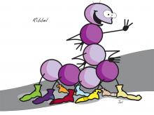 Sloebers Sloebers